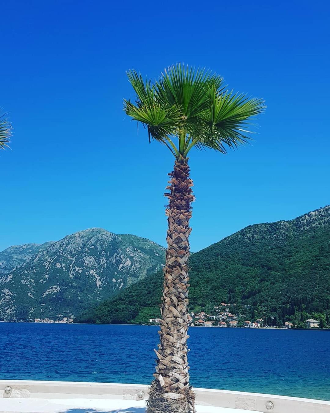 Apartman Taraca Villa Knezevic Herceg Novi Chambre photo