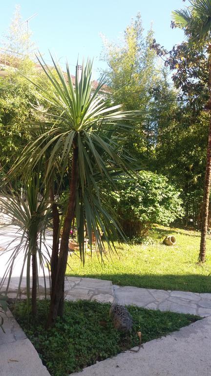 Apartman Taraca Villa Knezevic Herceg Novi Extérieur photo